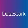 DataSpark DataSpark