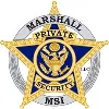 MSI Security MSI Security