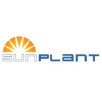 SUN PLANT