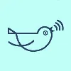 She's Birdie She's Birdie