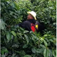 Dynamite Roasting Co. Dynamite Roasting Co.