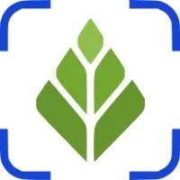 Scalion Commerce Pvt. Ltd.