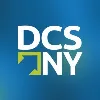 Delaney Computer Services, Inc. Delaney Computer Services, Inc.