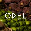 ODEL PLC