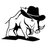 BossHog Freight Solutions LLC