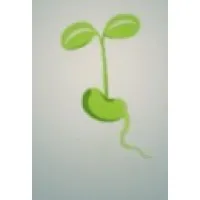 Bean Consulting Bean Consulting