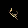 Riyadvi Software Technologies Private Limited Riyadvi Software Technologies Private Limited