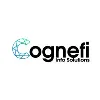 Cognefi Info Solutions Cognefi Info Solutions