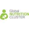 Global Nutrition Cluster Global Nutrition Cluster