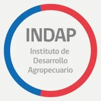 INDAP email format