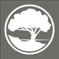 Madrona Financial & CPAs