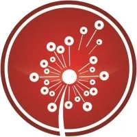 Amy Calandrino Commercial Real Estate Advisor formerly Beyond Commercial Amy Calandrino Commercial Real Estate Advisor formerly Beyond Commercial