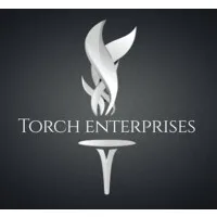Torch Enterprises Inc Torch Enterprises Inc