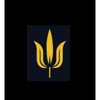 Padma Group Holding Corporation Padma Group Holding Corporation