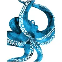 Rosoka Software, Inc. Rosoka Software, Inc.