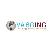 Vista Applied Solutions Group Inc