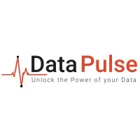 Data Pulse Data Pulse