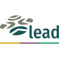 Lead Serviços