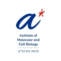 A*STAR Institute of Molecular and Cell Biology (A*STAR IMCB)