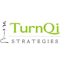 TurnQi Strategies