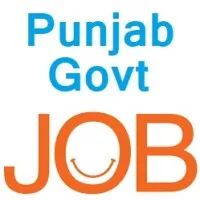 punjab govt job punjab govt job