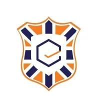 London School of DIGITAL BUSINESS