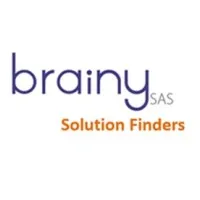 Brainy SAS Brainy SAS