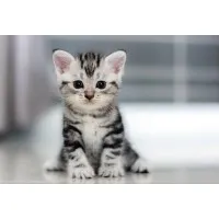 Marketing Solutions SRE LTX1