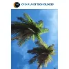 Open Planet Technologies Open Planet Technologies