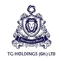 TG HOLDINGS