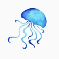 MyTeenLifeCoach.com, LLC