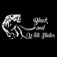 Black and White VFX Studios