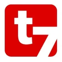 Telesis7 Consulting
