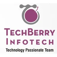 Techberry Infotech Pvt Ltd - Database Managed Service