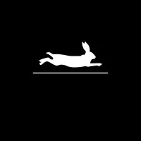 Rapid Rabbit 3D