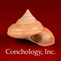 Conchology, Inc.