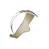 Northern Illinois Foot & Ankle Specialists