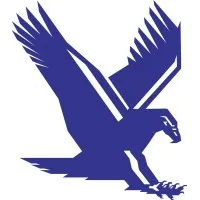 TBIRD Design Services Corp