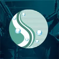 Sinergia Eletricidade e Serviços