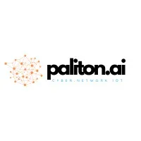 Paliton Networks