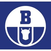 Boryszew S.A.