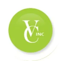 V Consulting Inc