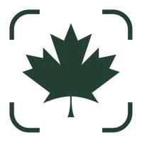 Maple Leaf Strategies