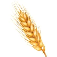 Sunnybrook Combine Parts