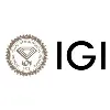 International Gemological Institute - USA International Gemological Institute - USA