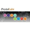 Protel Labs