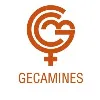 Gecamines S.A. Gecamines S.A.