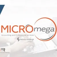 MICROmega Accounting and Professional Services 