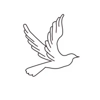 Amara Home Care Services Inc.