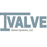 iValve Systems